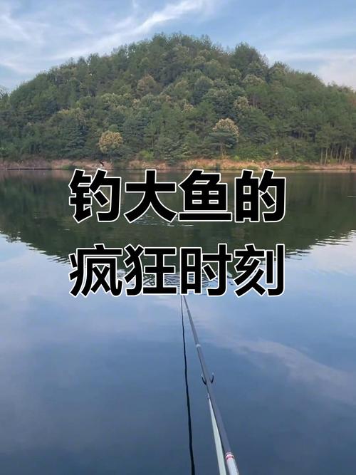 新门内部资料免费提供和保护区里的疯狂垂钓与保护区里的疯狂垂钓是什么