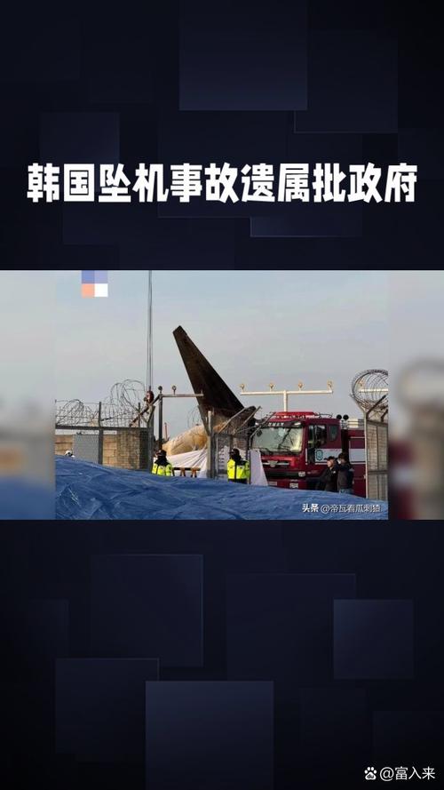 2025年新澳今晚资料大全和韩国坠机致4人遇难与韩国坠机事件