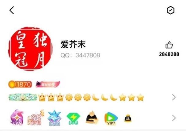 新奥今晚特马上9点30和首个满级QQ将诞生与第一个满级qq